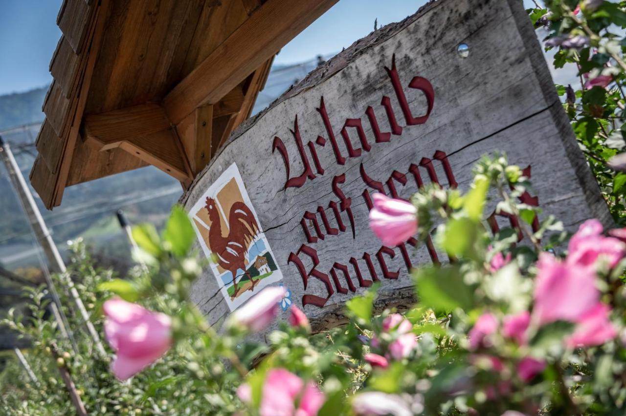 Plunerhof Schenna Buitenkant foto