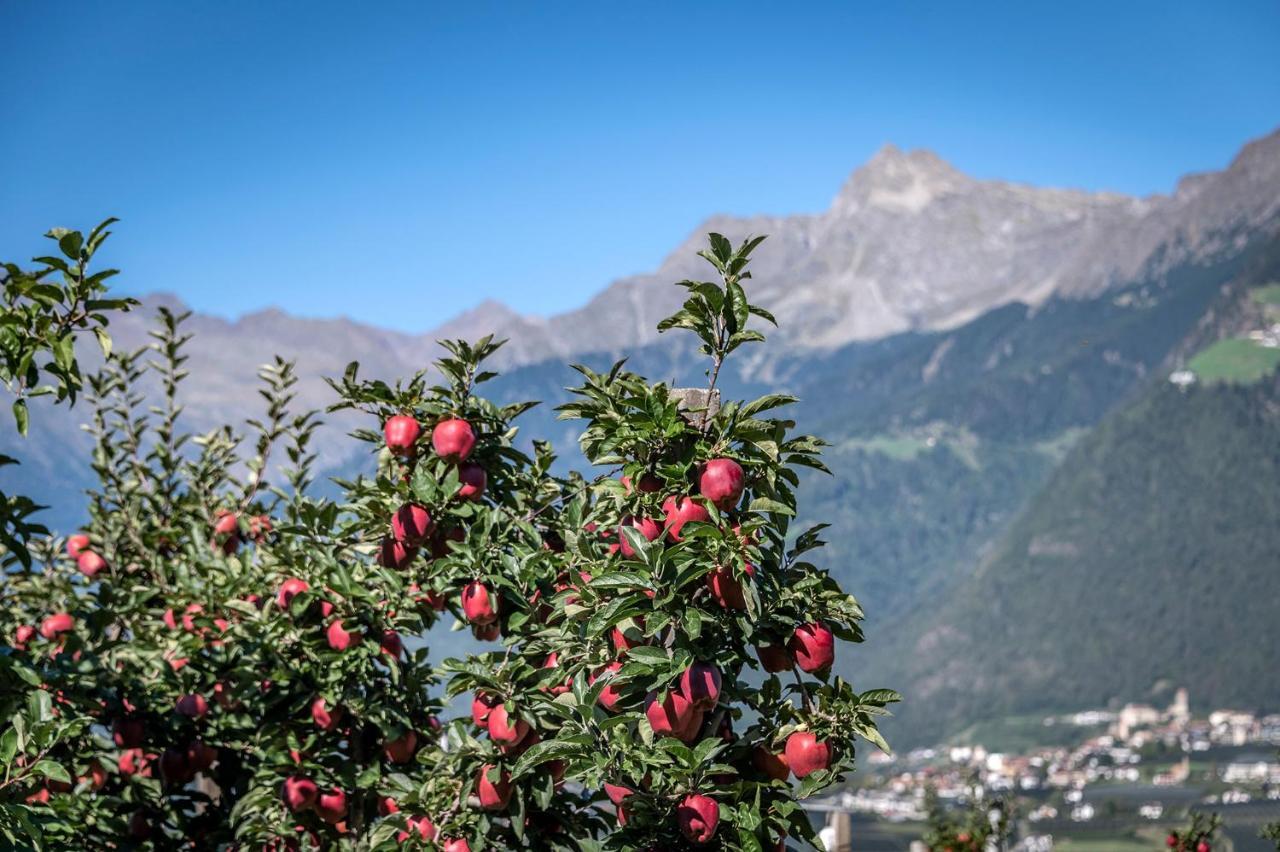 Plunerhof Schenna Buitenkant foto