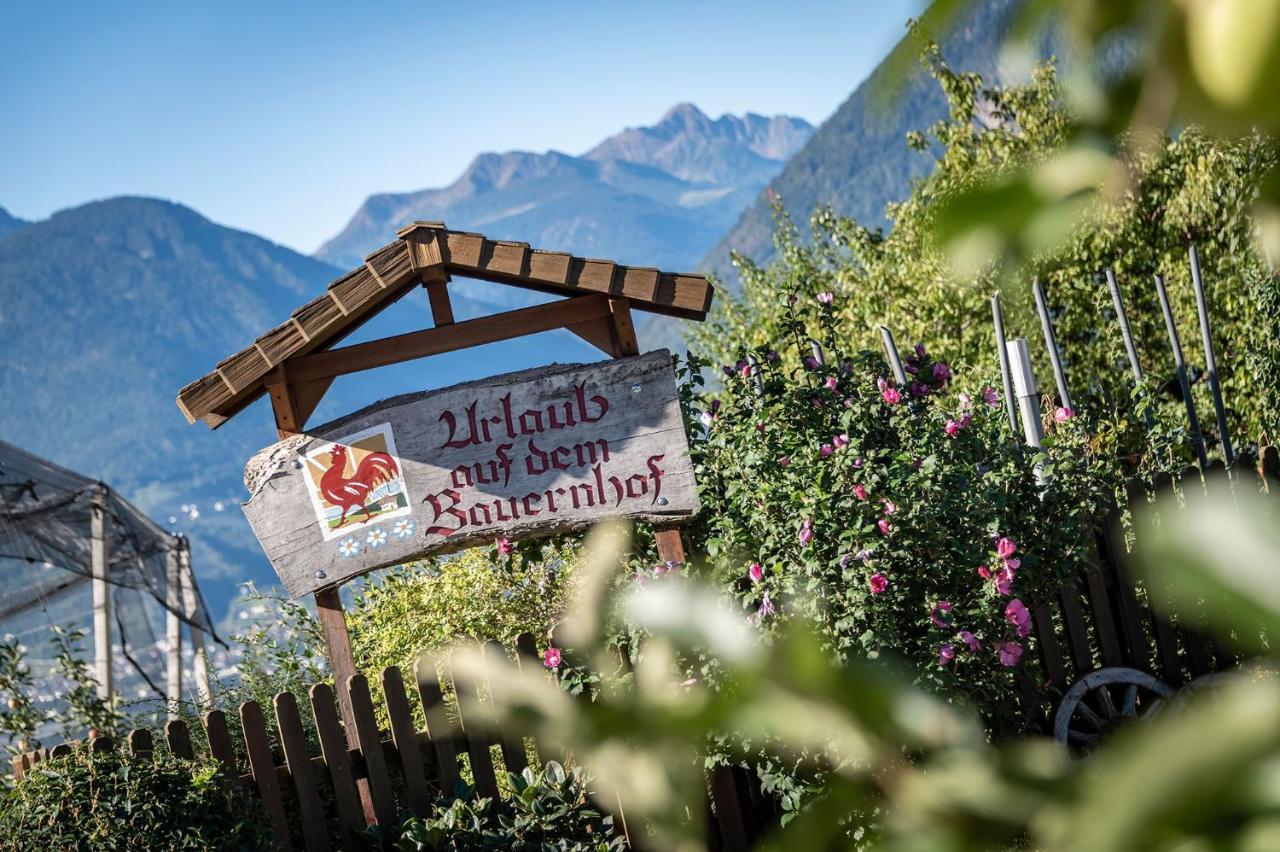 Plunerhof Schenna Buitenkant foto