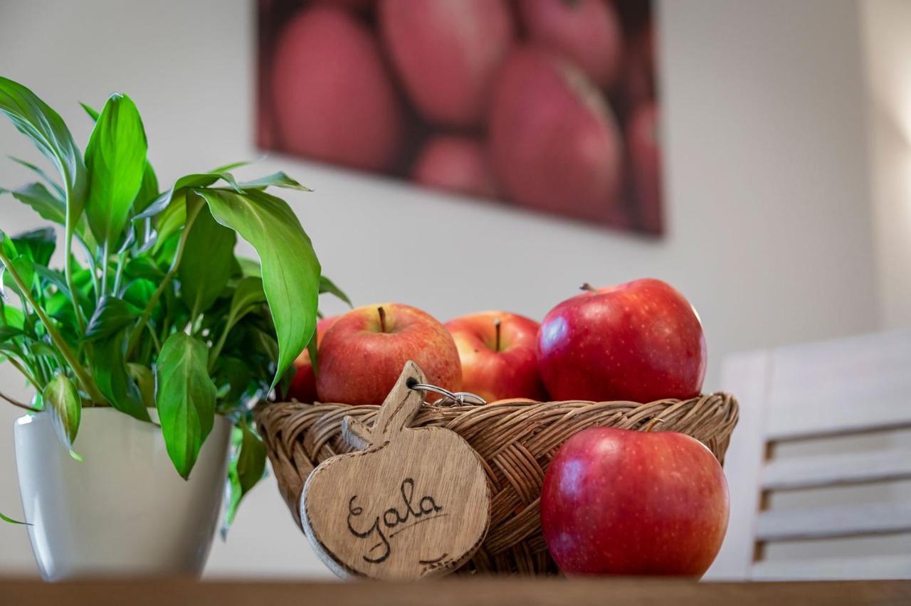 Plunerhof Schenna Buitenkant foto
